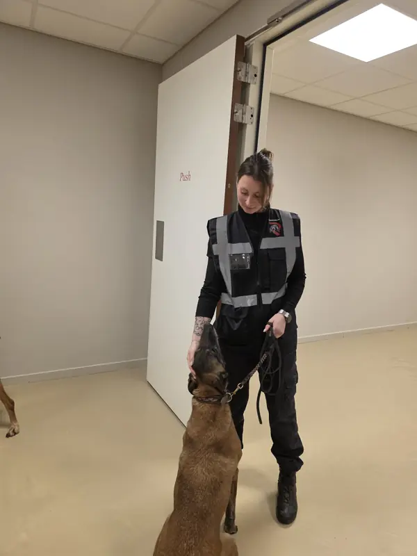 Speurhondengeleider van Reaction Security tijdens een zoekactie in een pand